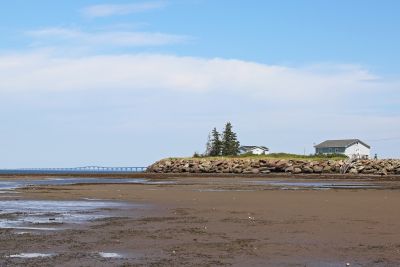 Low Tide by mary hindle